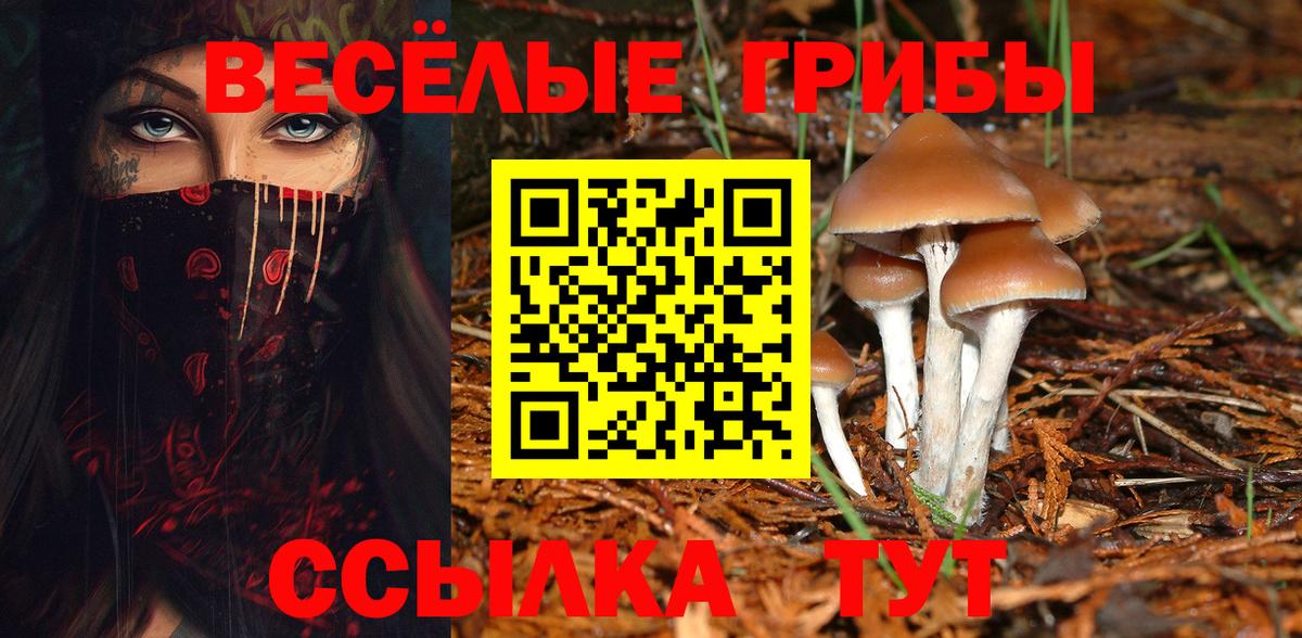 Псилоцибиновые грибы мухоморы Заинск